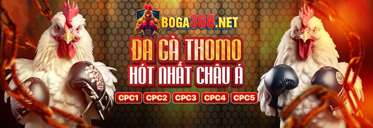 Kêu gọi tham gia chương trình đối tác 7789bet APK